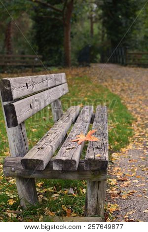 Loneliness Concept Autumn Fall Bench Maple Leaf Copy Space Solitude Depression New Start Procrastina