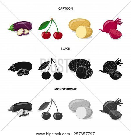 Vector Design Of Vegetable And Fruit Symbol. Collection Of Vegetable And Vegetarian Stock Vector Ill