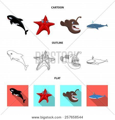 Vector Design Of Sea And Animal Icon. Set Of Sea And Marine Vector Icon For Stock.