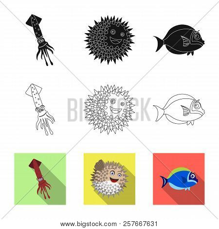 Vector Design Of Sea And Animal Logo. Set Of Sea And Marine Stock Symbol For Web.