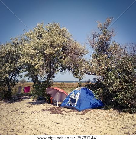 Dzharylgach Island, Tourist Tent On Sand, Lingerie On A Rope, Yacht, Sea, Trees, Umbrela, Wild Touri