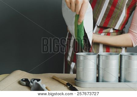 Worker Pours Soil Into Flower Pot, Stock Photo Image