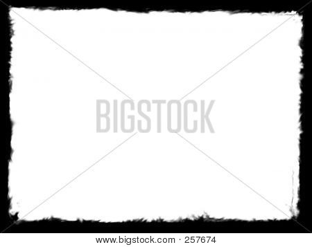 Boarder2