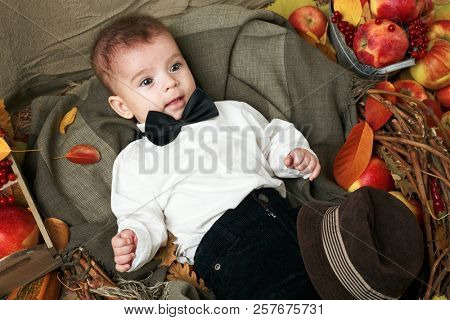 autumn concept - child boy lie on yellow leaves with fruits and vegatbles, red apples and pumpkins