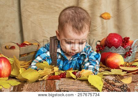 autumn concept - child boy lie on yellow leaves with fruits and vegatbles, red apples and pumpkins