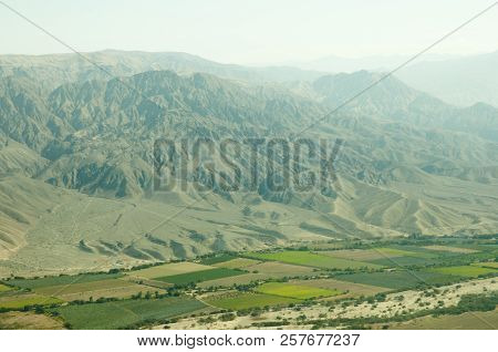 Agriculture Fields In Nasca Valley - Peru