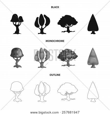 Vector Design Of Tree And Nature Sign. Set Of Tree And Crown Vector Icon For Stock.