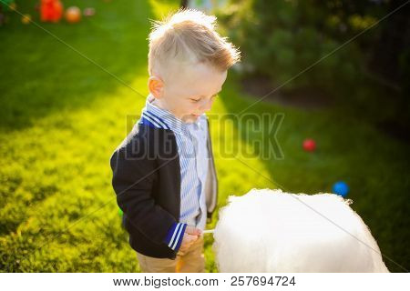 Happy 2 Year Old Boy Eating White Sweet Cotton Candy. Kid With Candy Floss In The Park At Summer.