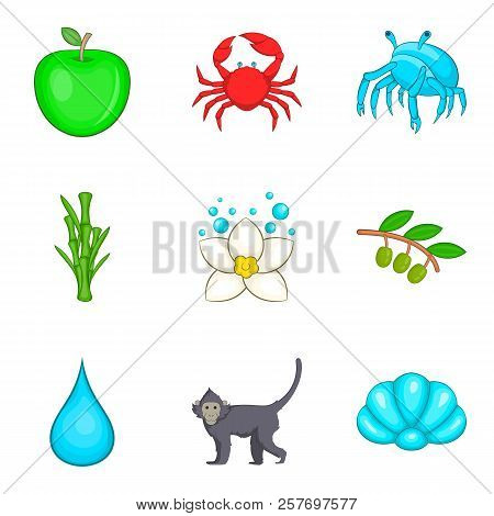 Primordial Icons Set. Cartoon Set Of 9 Primordial Icons For Web Isolated On White Background