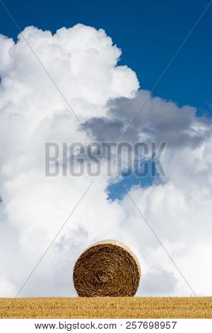 Straw Bales Composition On An Agricultural Grain Field In The Morvan, France.