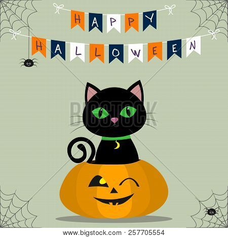 Happy Halloween. A Black Cat Is Sitting In A Pumpkin. Flags Decoration, Spider Web And Spider. Vecto