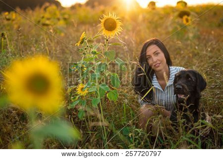 Black dog with girl posing in sunflower field during sunset.