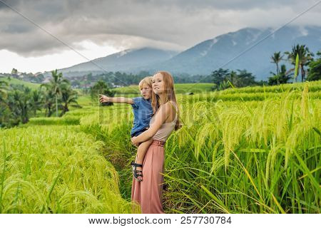 Mom And Son Travelers On Beautiful Jatiluwih Rice Terraces Against The Background Of Famous Volcanoe