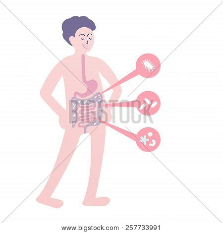 Probiotics Benefits. Scheme Of Influence Of Probiotics On A Human Body. Conceptual Illustrations Of 