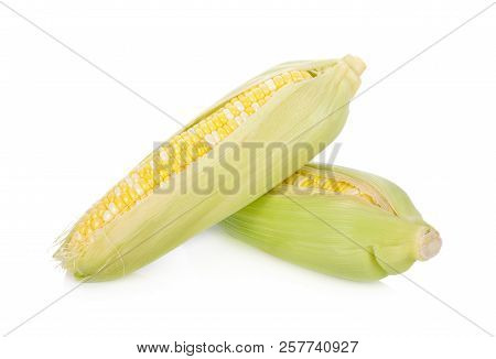 Fresh Bicolors Sweet Corn On White Background