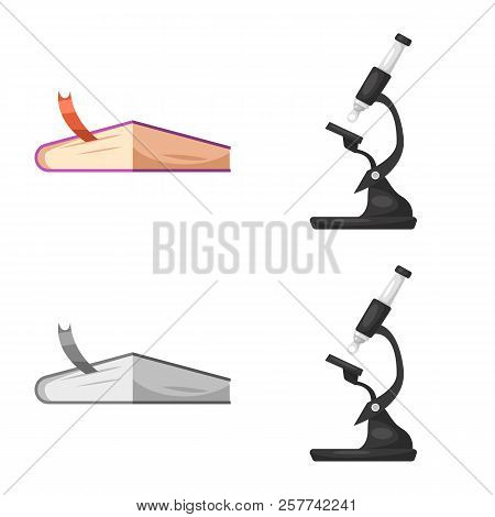 Vector Illustration Of Education And Learning Sign. Set Of Education And School Stock Vector Illustr