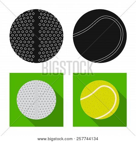 Vector Design Of Sport And Ball Icon. Set Of Sport And Athletic Vector Icon For Stock.