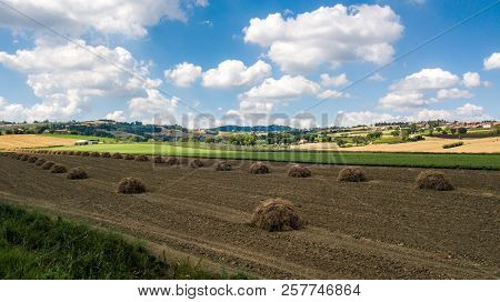 Panorama Of The Countryside In Coriano, Emilia Romagna Countryside, Italy