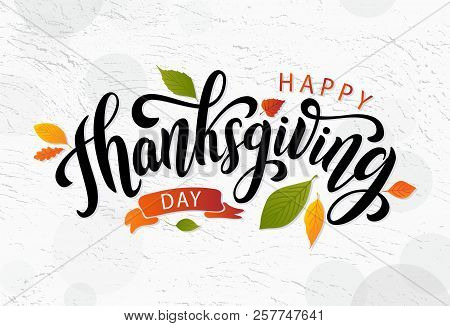 Happy Thanksgiving. Hand Drawn Text Lettering Card. Vector Illustration.