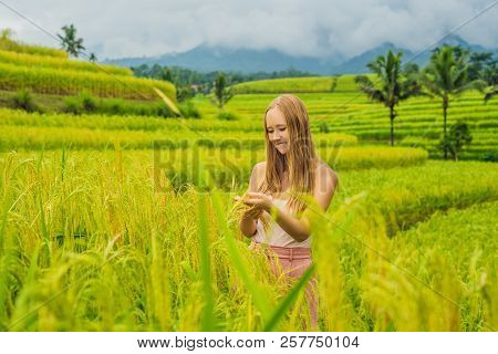 Young Woman Traveler On Beautiful Jatiluwih Rice Terraces Against The Background Of Famous Volcanoes