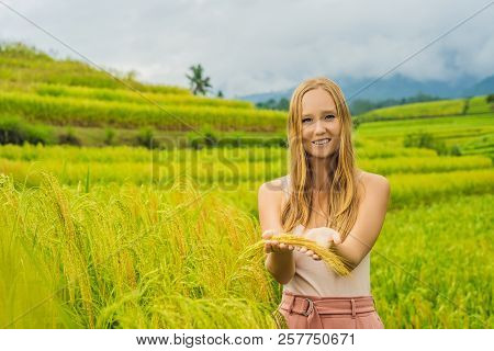 Young Woman Traveler On Beautiful Jatiluwih Rice Terraces Against The Background Of Famous Volcanoes