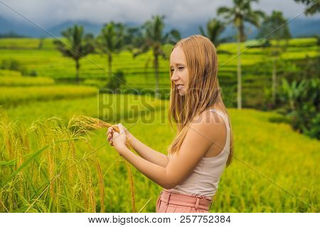 Young Woman Traveler On Beautiful Jatiluwih Rice Terraces Against The Background Of Famous Volcanoes