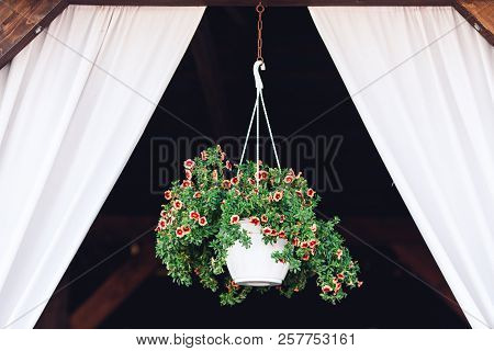 Kashpo With Flowers Hanging In Gazebo Window