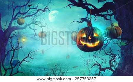 Halloween  With Pumpkins And Dark Forest. Scary Halloween Design On Table