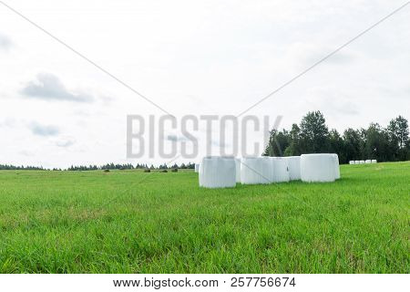 Sunny Meadow And Hay Making. Season Of Harvest In Agriculture.