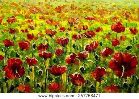 Meadow With Beautiful Bright Red Poppy Flowers In Spring Original Painting Modern Nature Landscape I