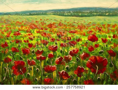 Meadow With Beautiful Bright Red Poppy Flowers In Spring Original Painting Modern Nature Landscape I