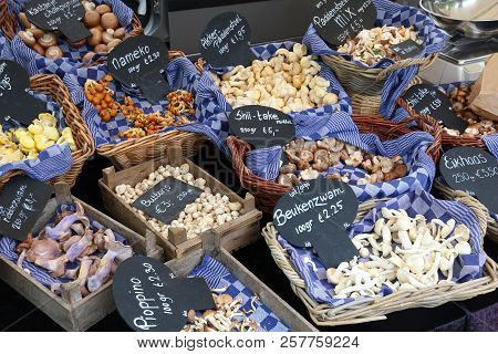 Mushroom Choice At A Local Market In Amsterdam, Netherlands.