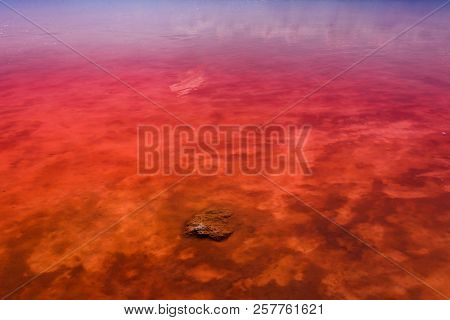 The Salty Shore Of The Laguna Salada De Torrevieja.spain.