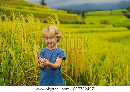 Boy Traveler On Beautiful Jatiluwih Rice Terraces Against The Background Of Famous Volcanoes In Bali