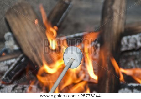 Torrefação marshmellow