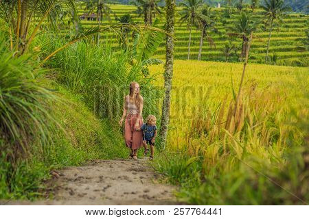 Mom And Son Travelers On Beautiful Jatiluwih Rice Terraces Against The Background Of Famous Volcanoe