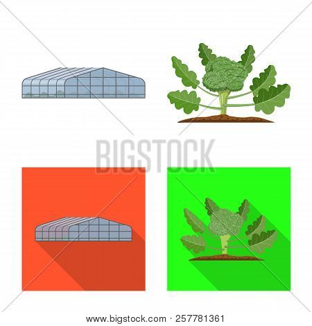 Vector Design Of Greenhous And Plant Icon. Collection Of Greenhous And Garden Stock Vector Illustrat