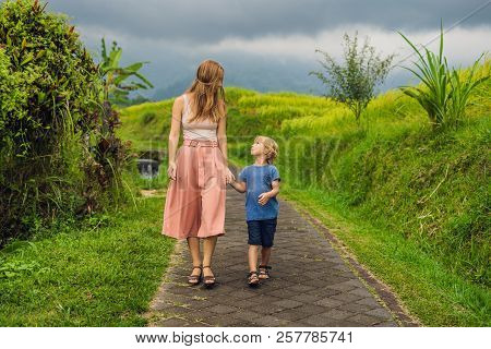 Mom And Son Travelers On Beautiful Jatiluwih Rice Terraces Against The Background Of Famous Volcanoe