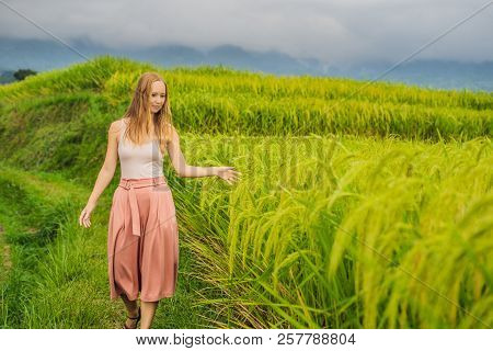 Young Woman Traveler On Beautiful Jatiluwih Rice Terraces Against The Background Of Famous Volcanoes