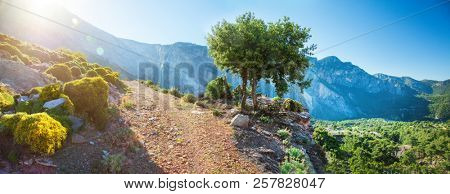 Wallking path to mountain