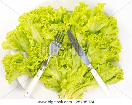 Spoon And Silverware Green Lettuce