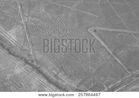 The Spider - Nasca Lines - Peru