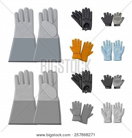 Vector Illustration Of Glove And Winter Logo. Collection Of Glove And Equipment Stock Symbol For Web