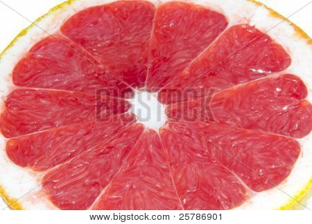 Greyfurt