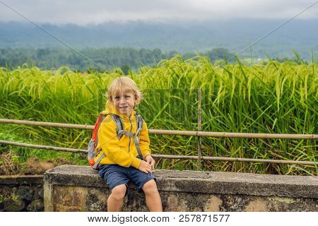 Boy Traveler On Beautiful Jatiluwih Rice Terraces Against The Background Of Famous Volcanoes In Bali