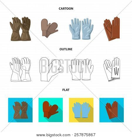Vector Design Of Glove And Winter Logo. Collection Of Glove And Equipment Vector Icon For Stock.