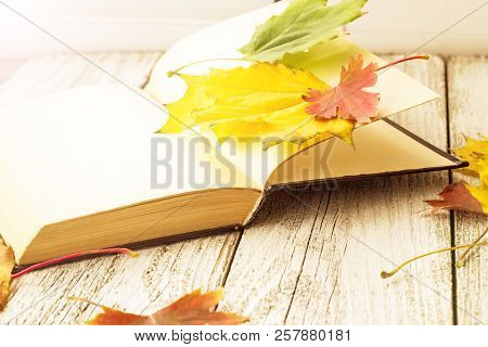 Open Book And Colorful Maple Leaves On White Wooden Background