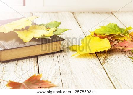 Book And Colorful Maple Leaves On White Wooden Background