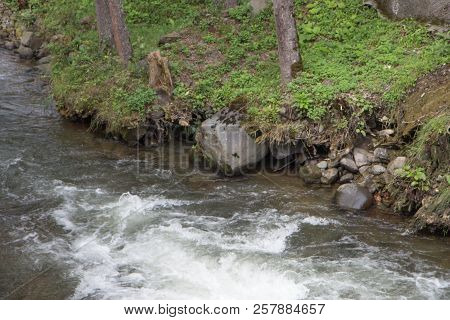 Beautiful Place At Source Of The River In The Mountains. Mountain River In Resort Sairme. Clean Moun