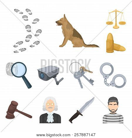 Prison And The Criminalcartoon Icons In Set Collection For Design.prison And Attributes Vector Symbo